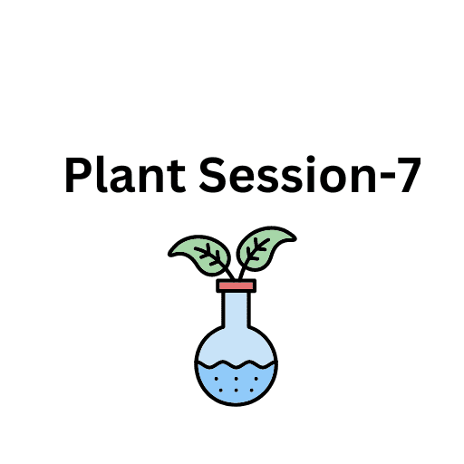 Plant Session-7